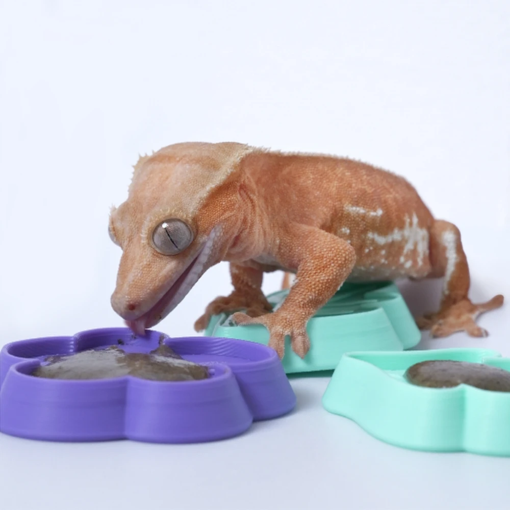 

Reptile Feeding Dish, 3D Printed Flower Shape Food & Water Bowl for Lizard Turtle Hermit Crab, Non-Slip Terrarium Feeder