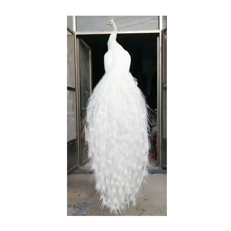 Real White Peacock Feather for Wedding Photography Props Exhibition Welcome Area Decoration New Style Home Party Event
