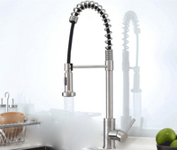 Brushed Nickel Multifunction Spring Style Kitchen Faucet Pull out Rotatable Brass Swivel Spout for Vessel Sink