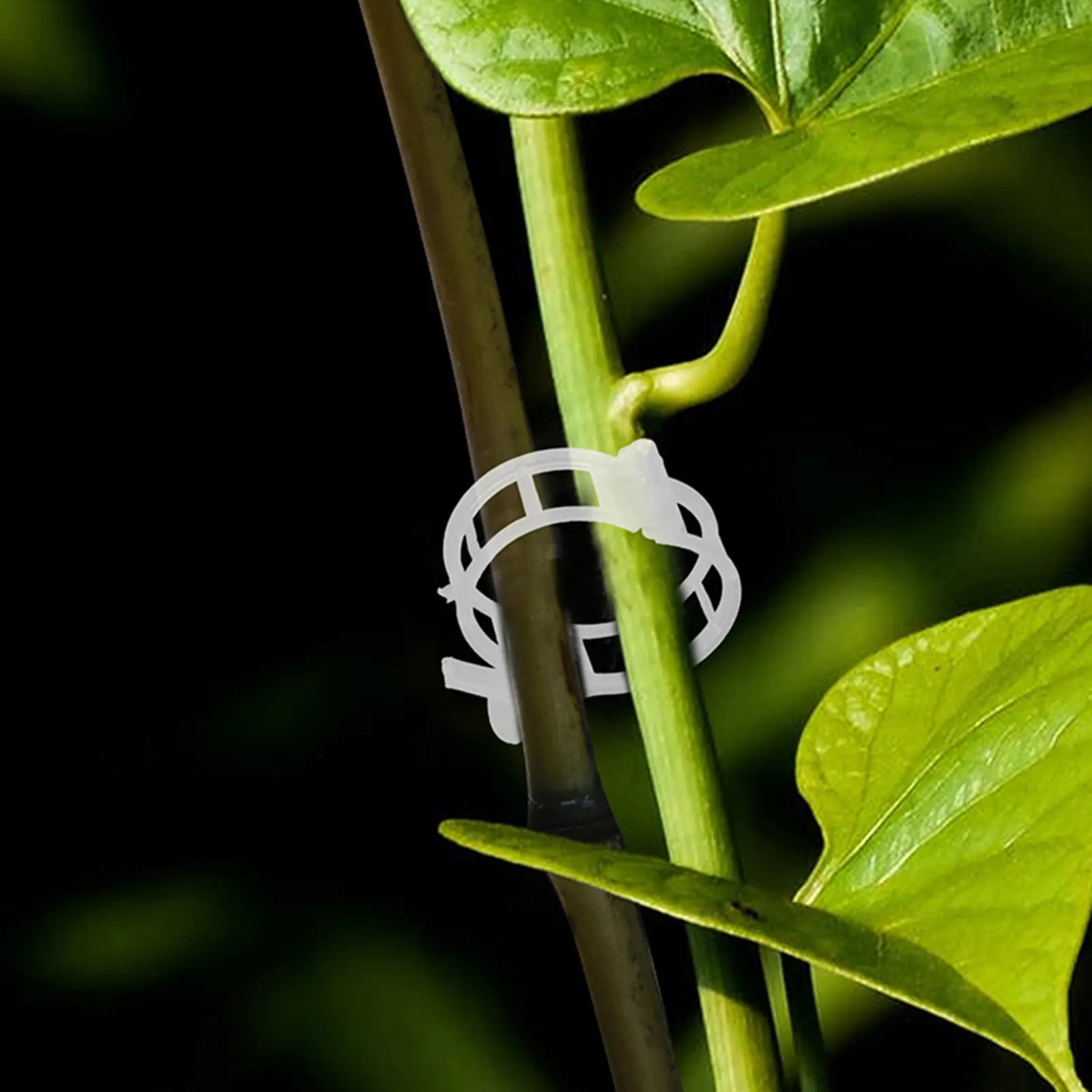 400Pcs Weather Resistant Tomato Stake Clips Plastic Vegetable Vine Fixing Clamps for Climbing Plants Tomatoes Cucumbers Garden