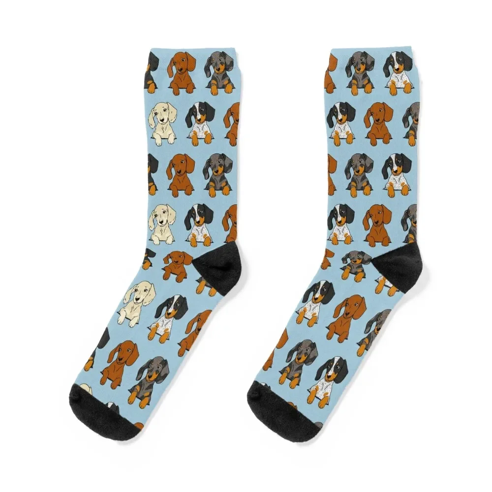 

All Breeds Dachshund Blue Sticker Pack Socks cycling Stockings compression Men Socks Women's