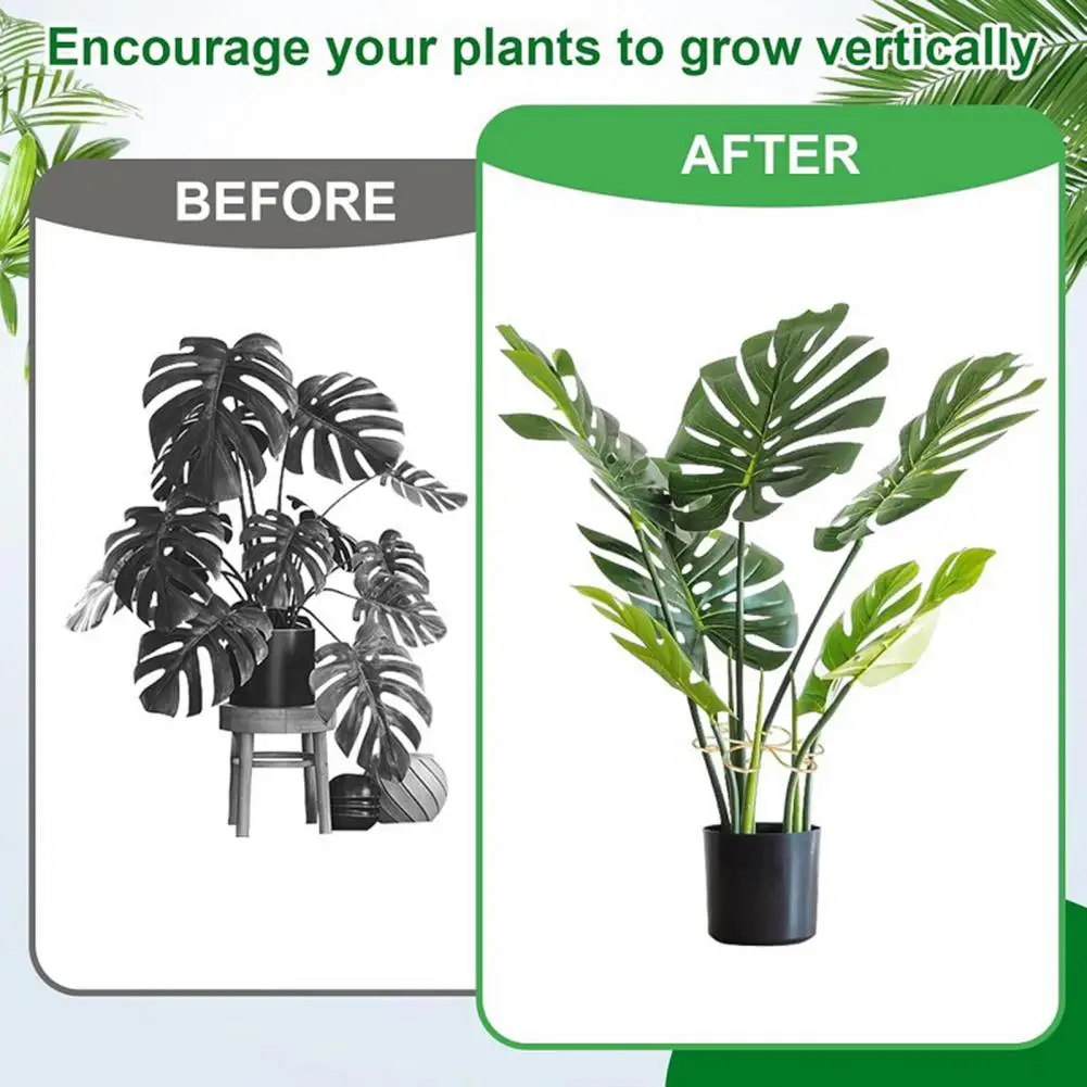 Indoor Garden Plant Support 4pcs Plant Pole Support Frames Reliable Stem Holders for Indoor Garden Easy-to-use for Monstera
