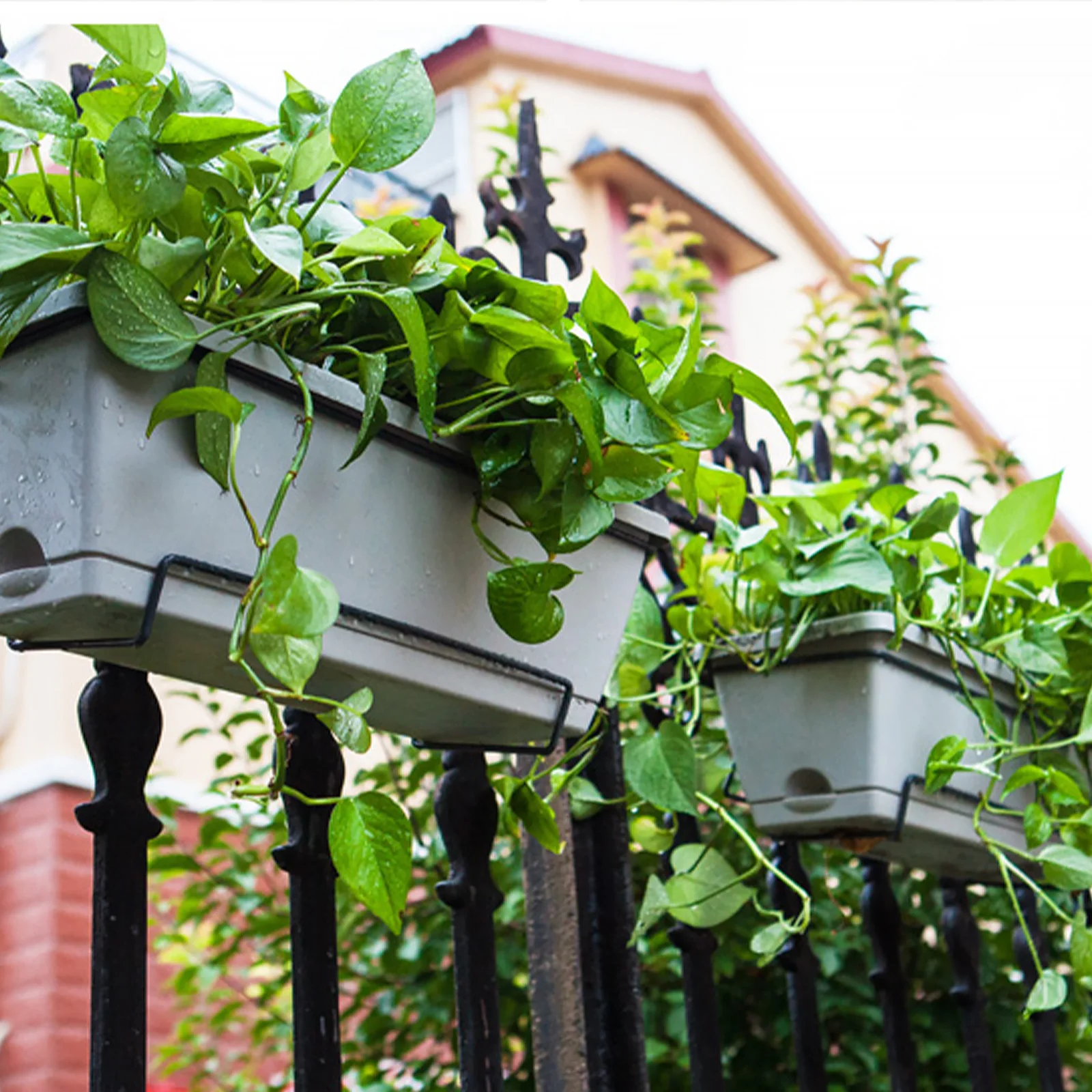 

Small Rectangular Plastic Planter Box Hanging Bracket for Balcony Railing Durable Premium Material Suitable for Indoors Outdoors