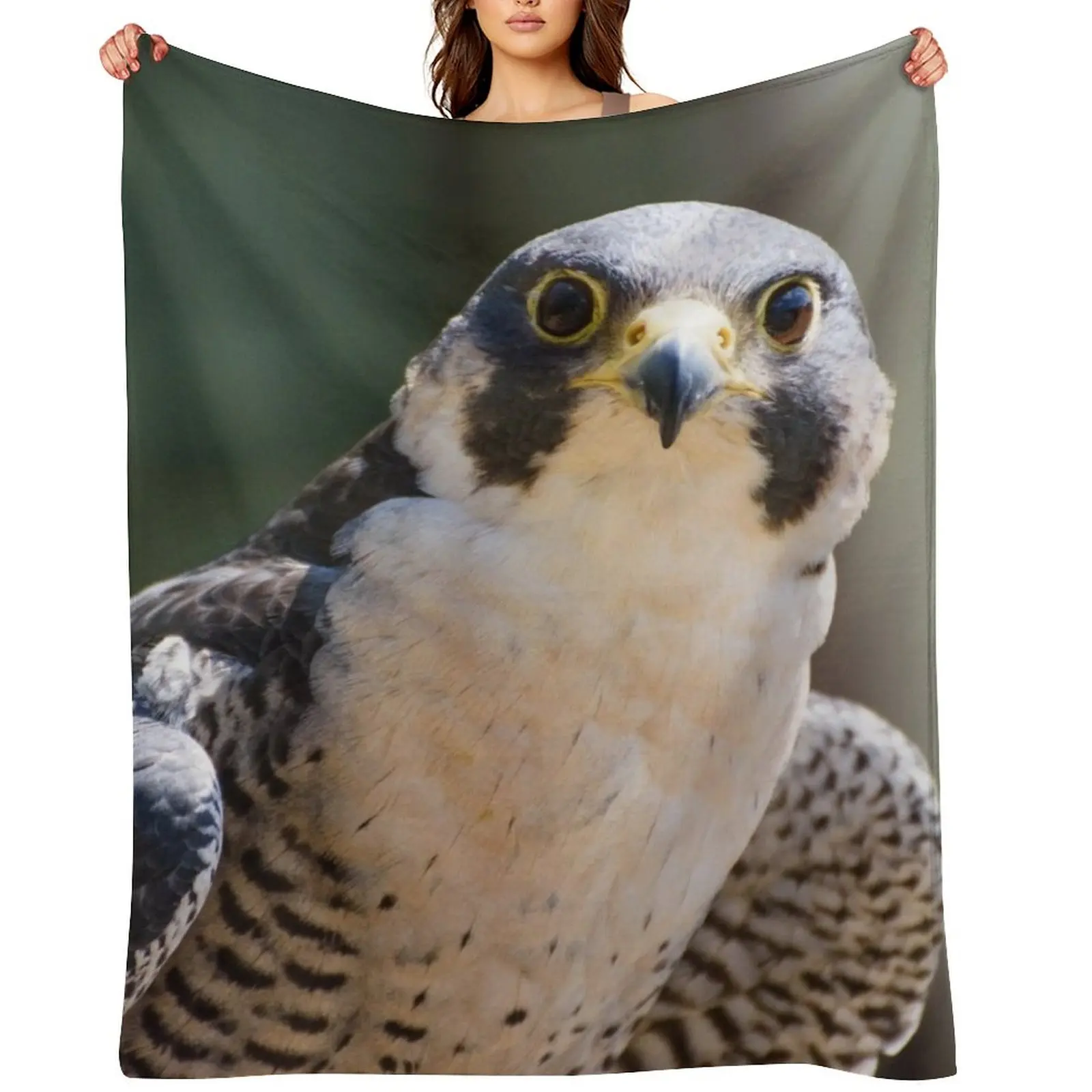 

Peregrine falcon Throw Blanket Luxury St Thins Flannel anime Blankets
