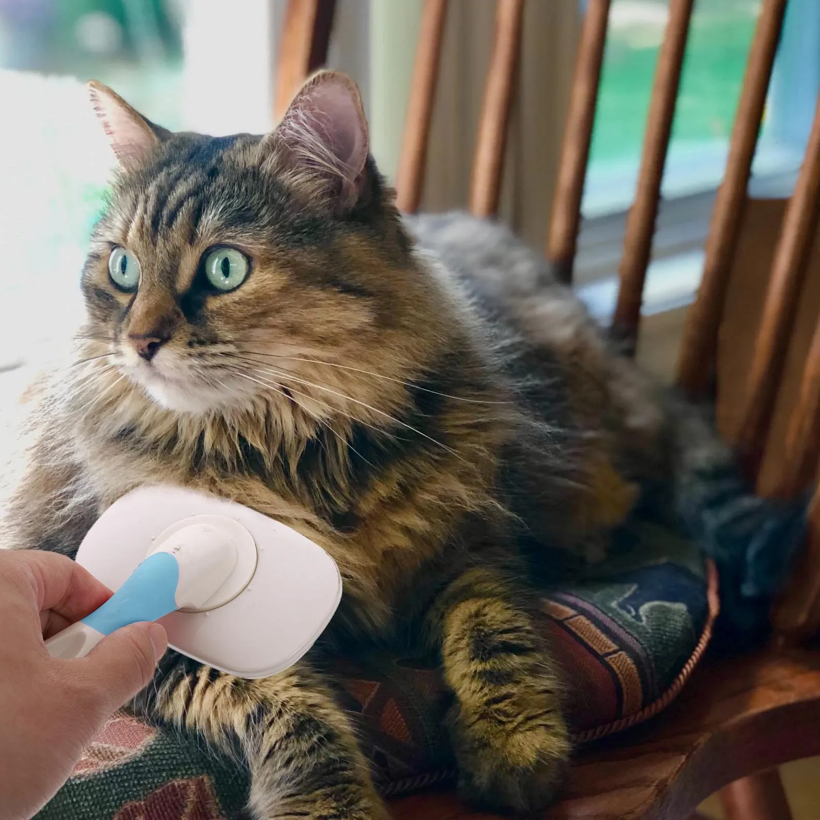 

Pet Massage Needle Comb Cleaning Cat Hair Brush Removal Cleaner Grooming Steel Tool