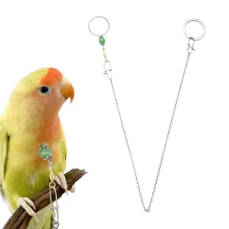 Parrot Neck Chain Stainless Parrot Training Neck Chain Safety Buckle Neck Collar Chain Prevent Parrot From Getting Lost
