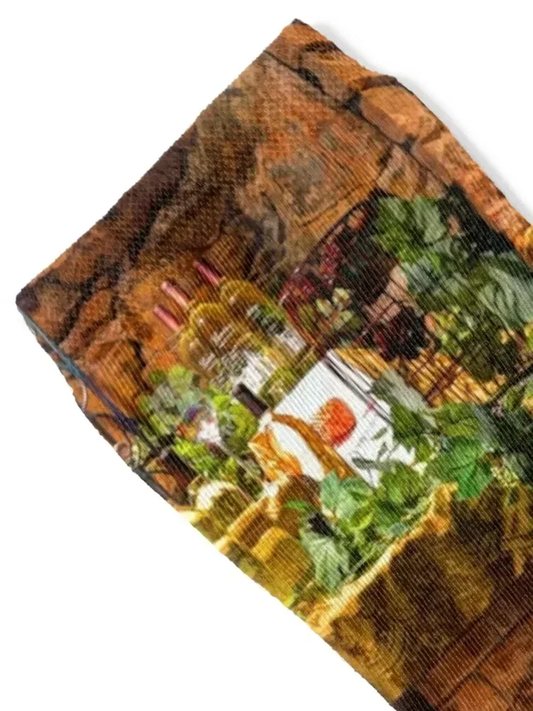 Biltmore Wine Socks japanese fashion winter gifts snow hiphop Socks Male Women's