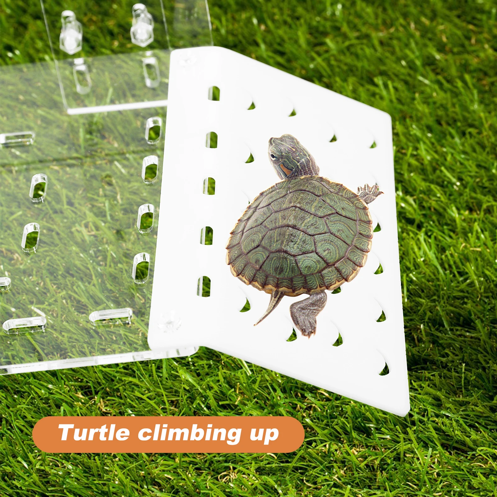 

Turtle Basking Platform Aquarium Climbing Ramp Tortoise Sunning Shelf Fish Tank Decor Turtle Tank Accessories Durable Easy