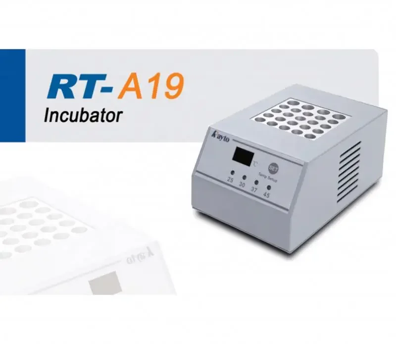 Rayto RT-A19 Incubator/ mini lab incubator/ incubator machine for lab