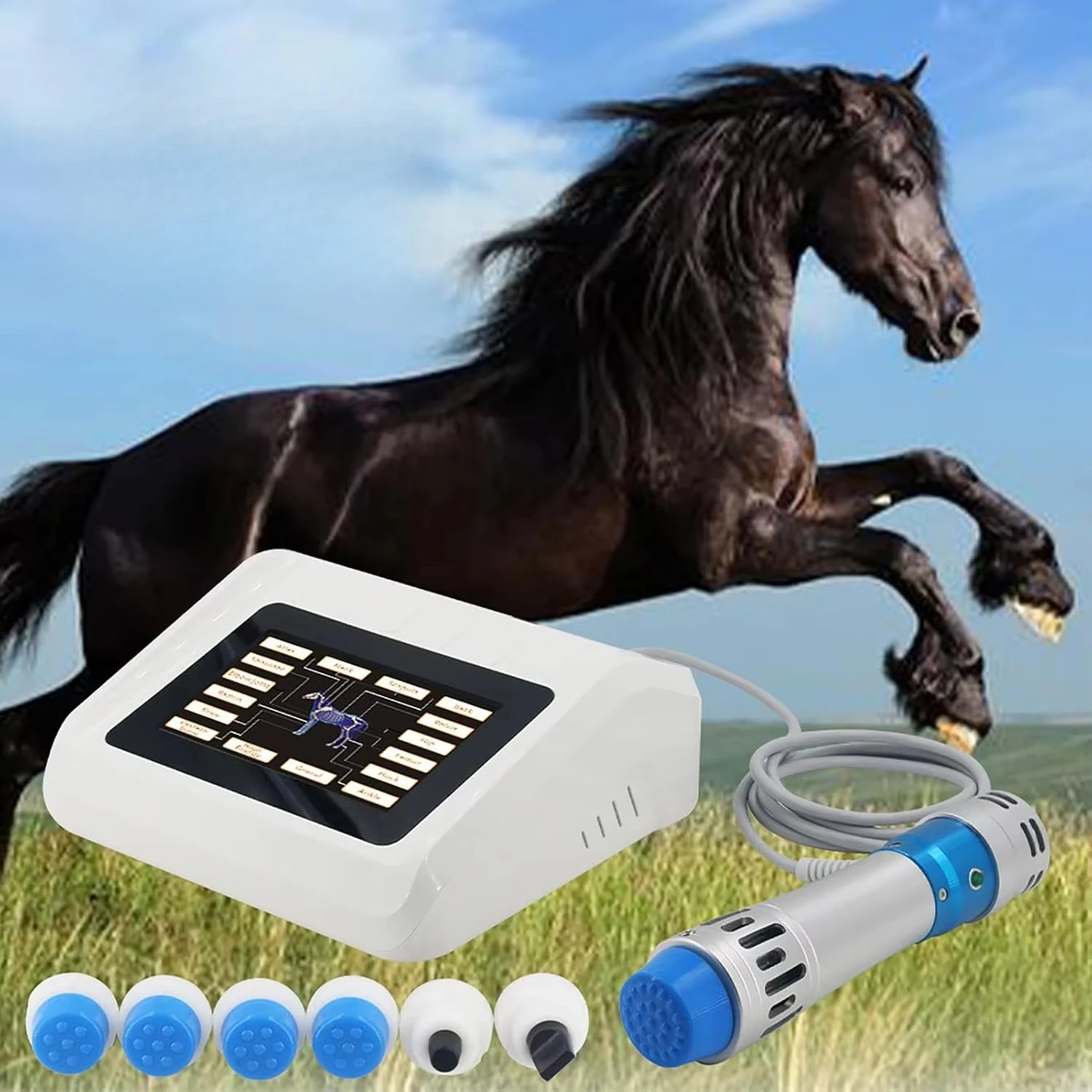 Durable Reusable Handheld Physiotherapy Shockwave Therapy Focus Radial Technology Touchscreen Adjustable