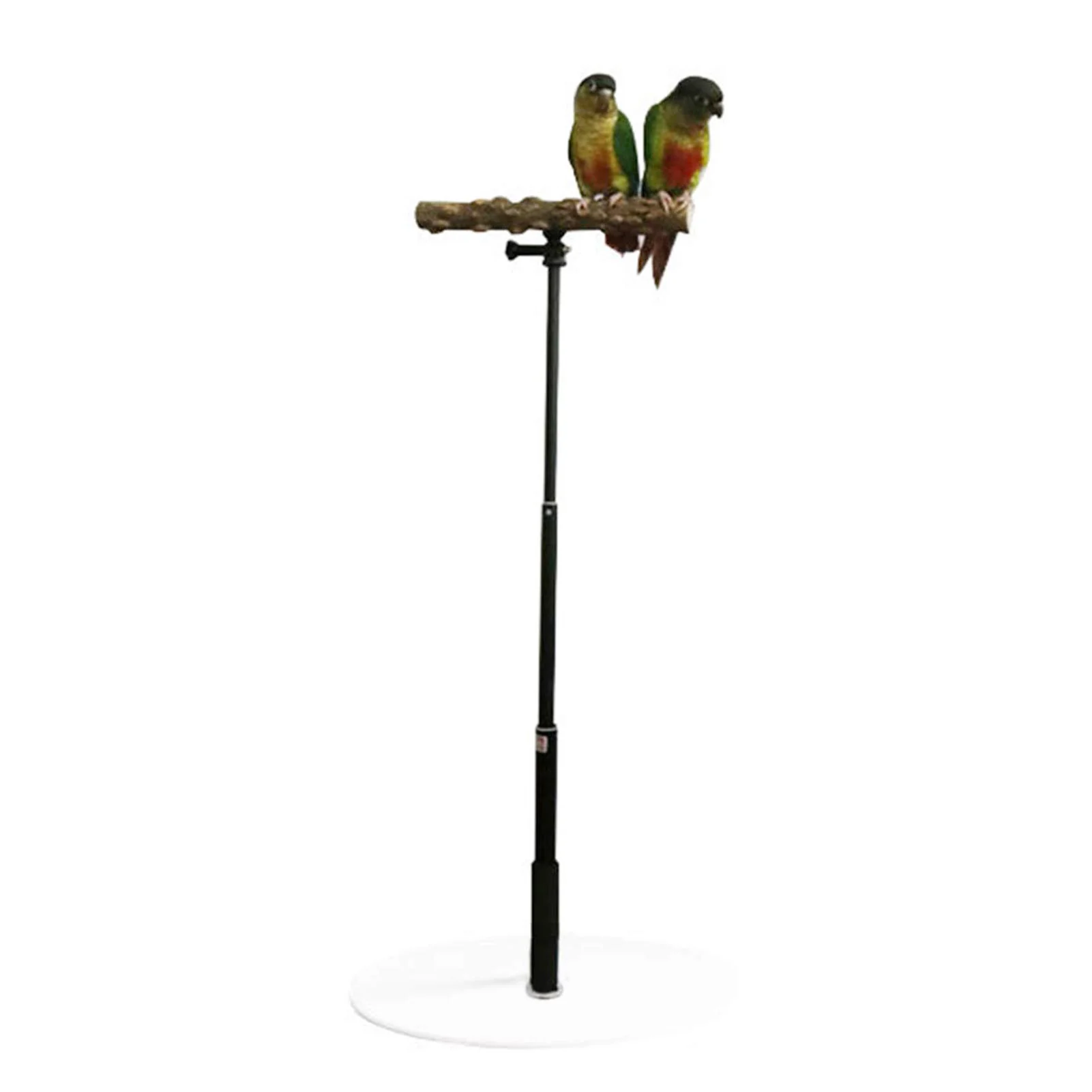 Parrot Desktop Stand Adjustable Playstand For Bird Pet Bird Training Stand Wooden Retractable Perch Rack For Parrots Parakeets