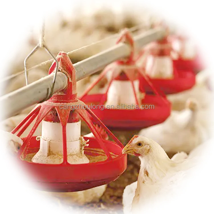

YYB High Quality Broiler Feeding Line Closed Chicken House Equipment Automatic Cumberland Poultry Pan Feeder System