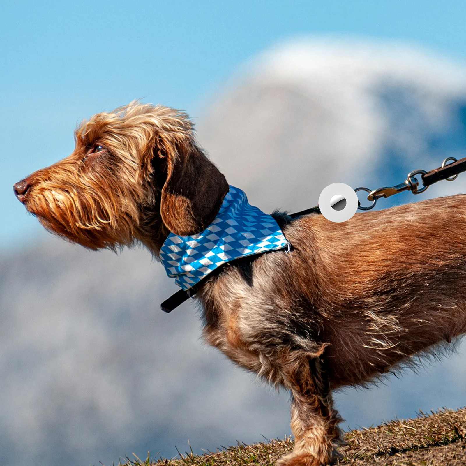 

Легкий силиконовый защитный чехол для домашних животных, установка, удаление, защита от потери, чехол на ошейник, совместимый