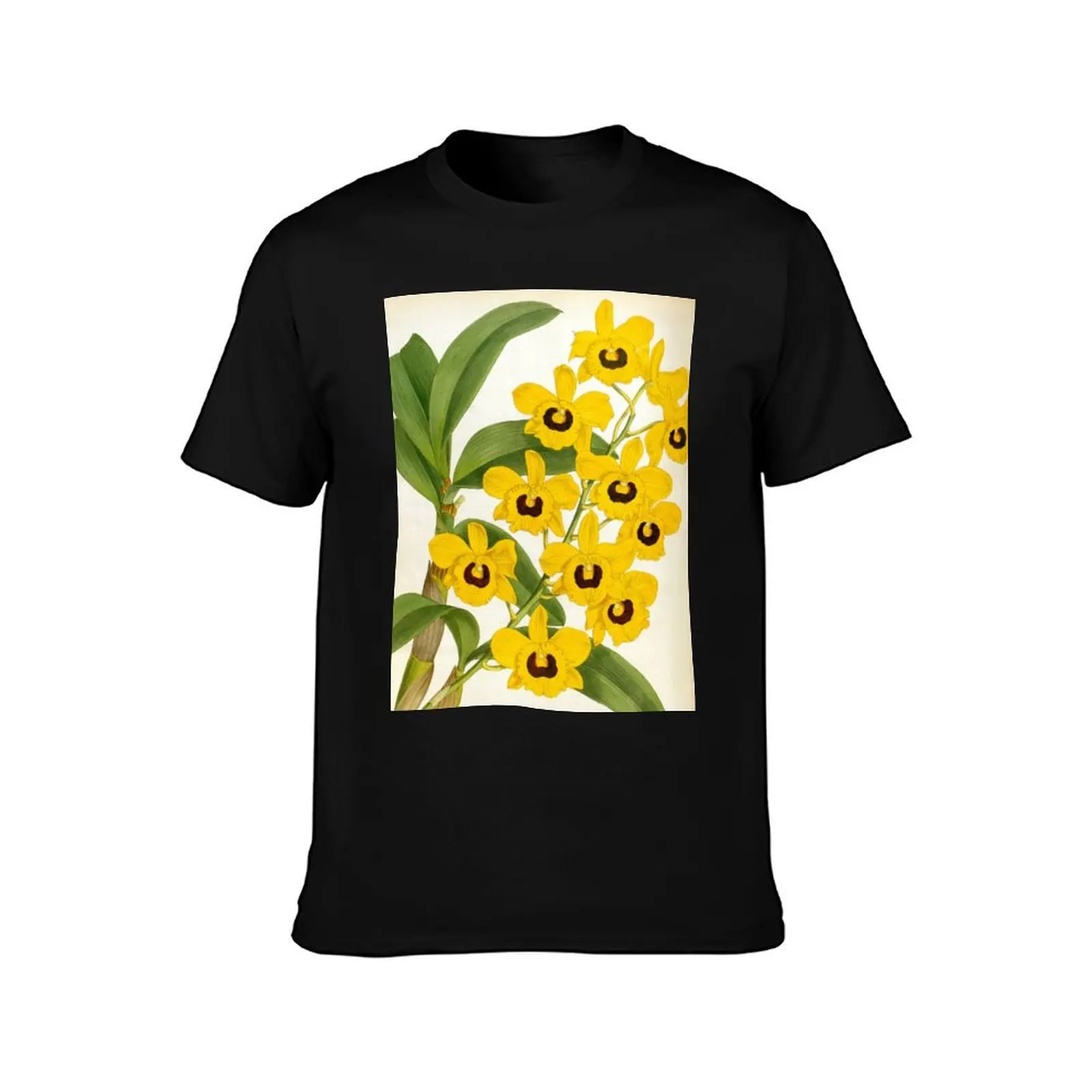 Vintage Dendrobrium Suavissimum Orchids Lindenia Collection T-Shirt customizeds cheap stuff mens plain t shirts