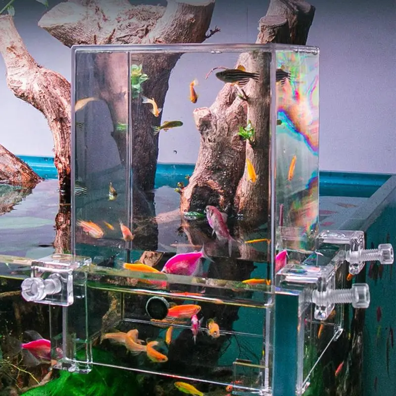 Fish Elevator Inverted Aquarium Fish Tower Fish Tank Aquarium Decorations Make Your Fish Fly Above The Water