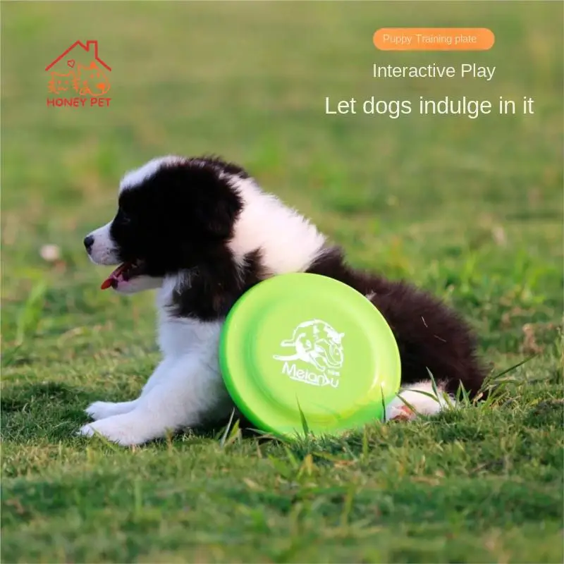 

Event Standard Training Plate for Dog Training Plate Toy Professional Competition Plate Border Shepherd Dog Pet Supplies 185mm