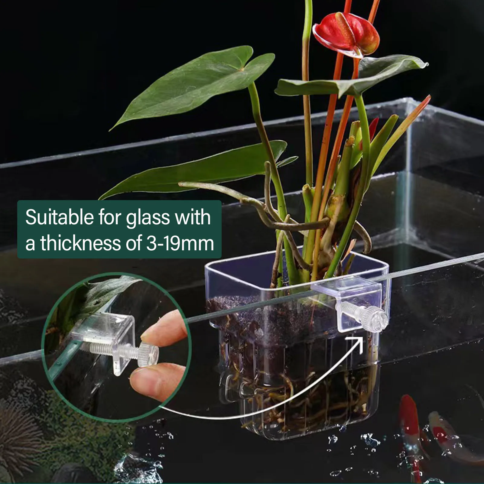Clear Acrylic Plant Holder Hydroponic Planting Basket for Fish Tank Aquarium Water Grass Cup Multiple Plant Landscape Bubbles