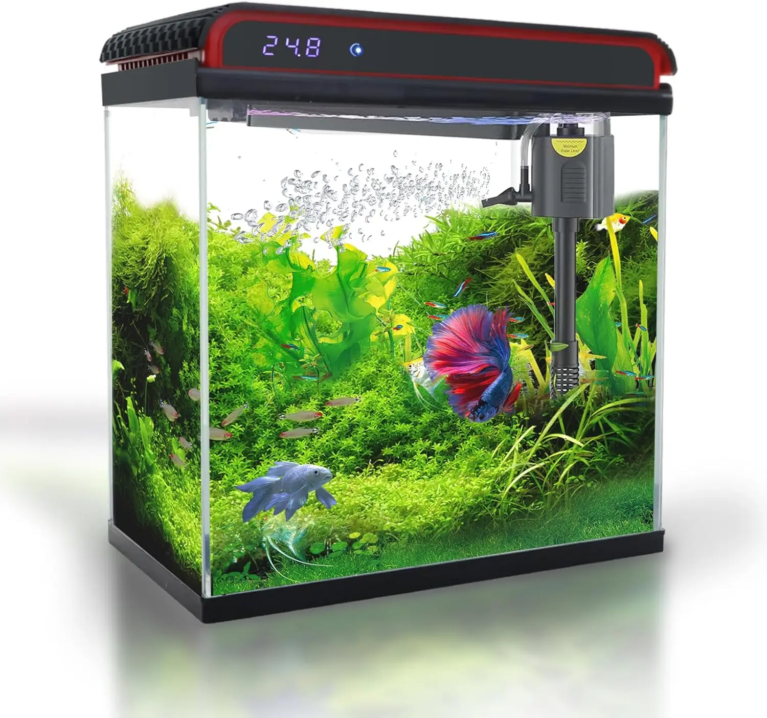 

Glass 5 Gallon Fish Tank Aquarium - Smart Self-Cleaning Starter Kit with 3-Color LED Light, Ultra