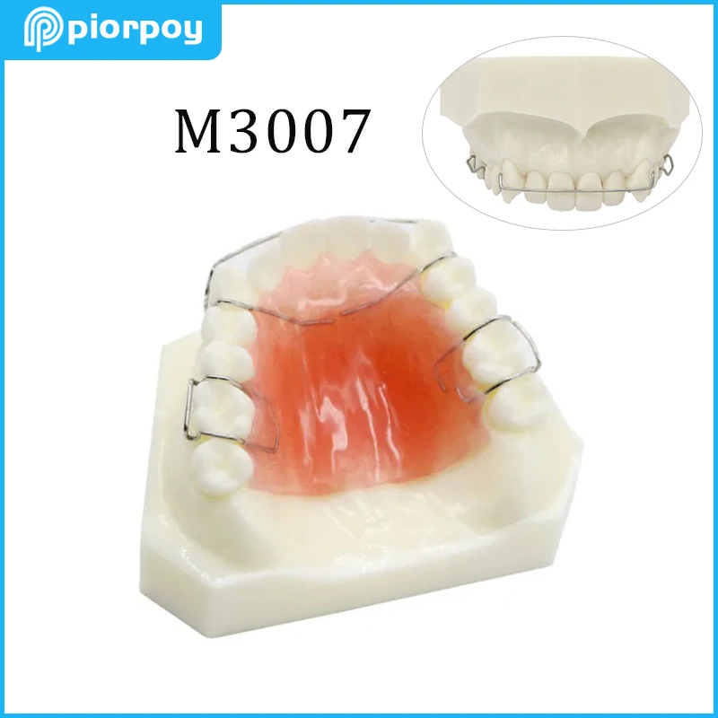 

Dental Teaching Model Detachable Maxillary Orthodontics Treatment Retainer Studying Tooth Mold Dentistry Traning Tools M3007