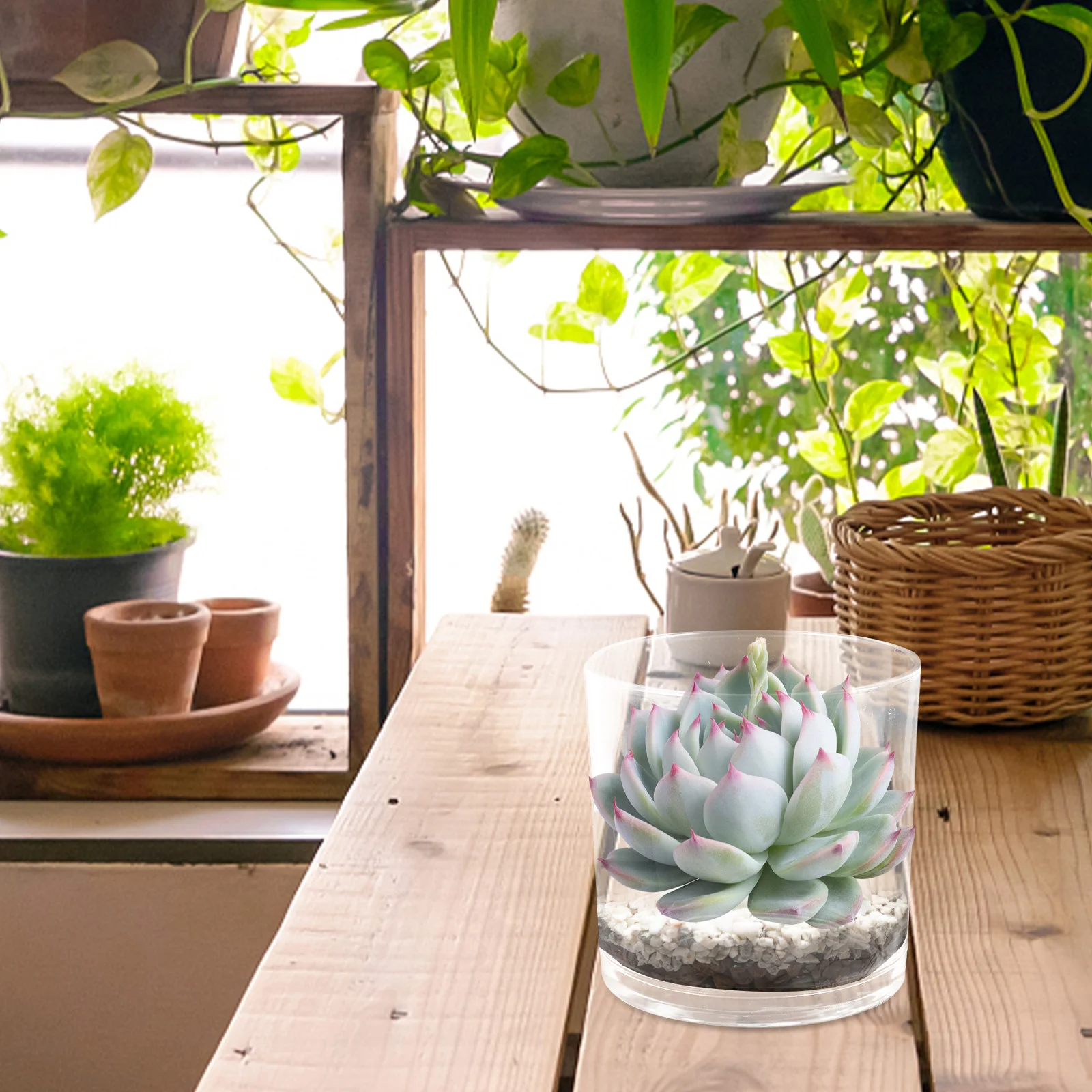 

Clear Glass Fish Tank Decor for Desktop Betta Goldfish Aquarium Multi-Function Plant Pot Office Home Decorative Accessories