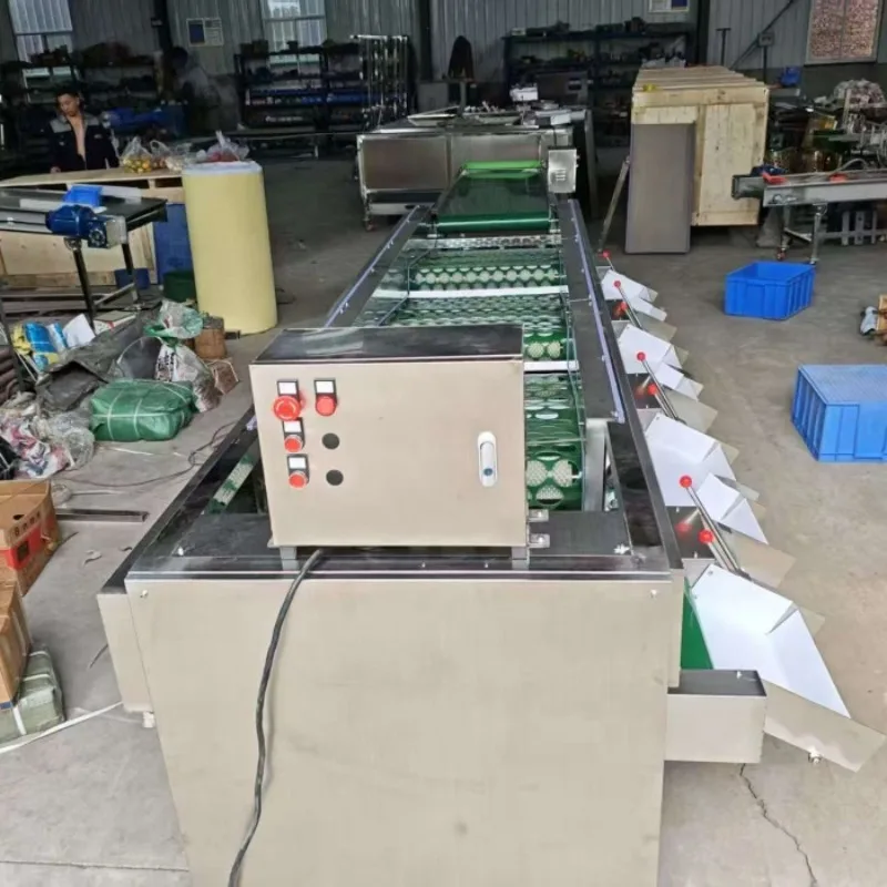 Automatic Multifunctional High Efficient 304 Stainless Steel Lemon Peach Pear Size Grading Sanitary Fruit Grading Machine