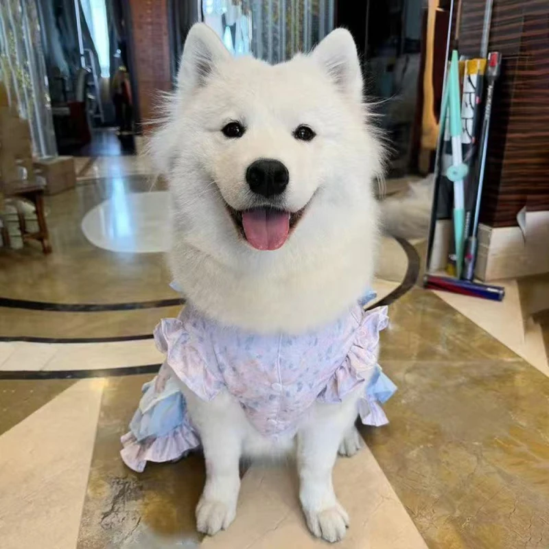 

Large Dog Dress Summer Big Dog Clothing Corgi Shiba Inu Border Collie Samoyed Husky Labrador Golden Retriever Clothes Dresses