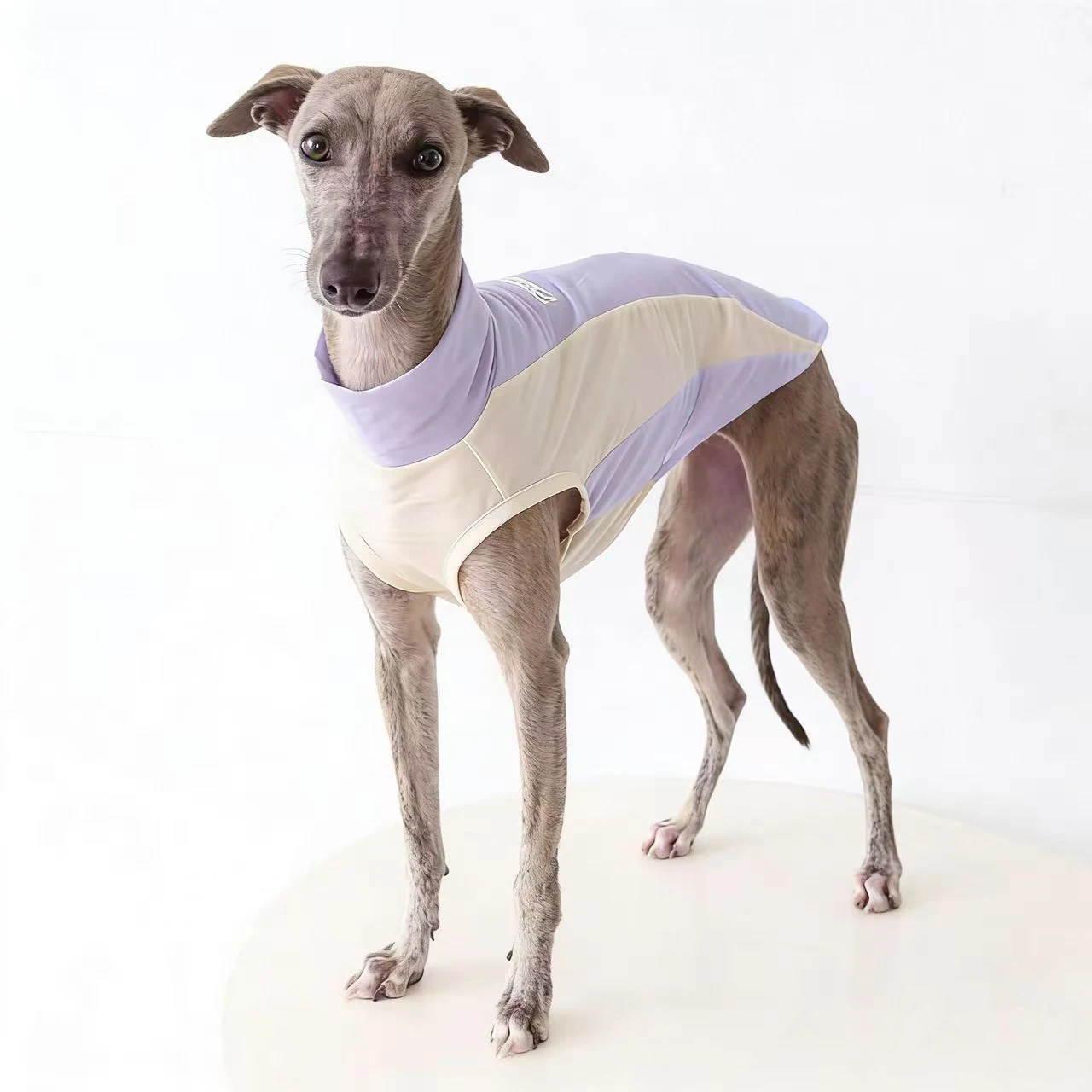Chaleco Transpirable de Secado Rápido para Galgo Italiano en Verano, Camiseta Suave para Bedlington, Abrigo para Whippet