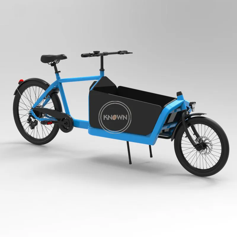 

Hot Selling Two Wheel Electric Cargo Bike Mobile Safe Child Transport Vehicle Heavy Loading Manned Bicycle