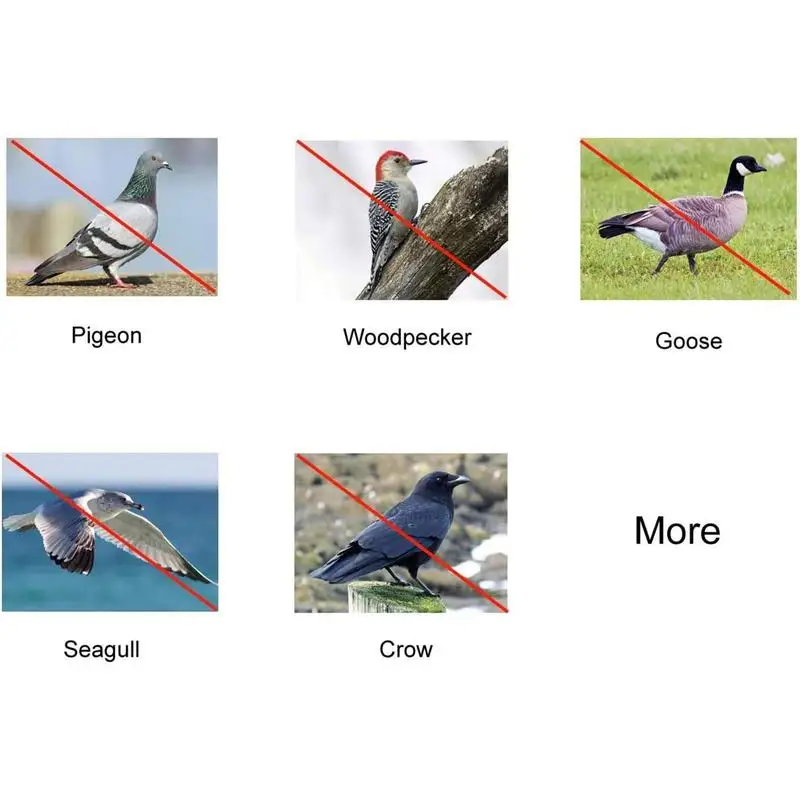 Bird Scare Disc Set 24pcs Highly Reflective Double-sided Bird Reflectors To Keep Birds Away Hanging Device Reflective Discs Set