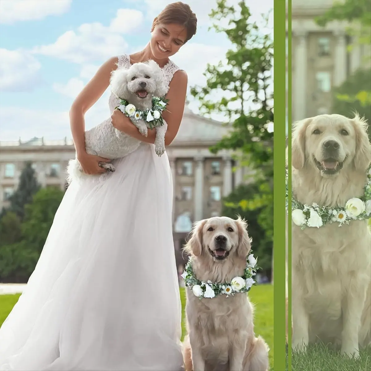 Dog Flower Collar Wedding and Leash Set Pearl for Dogs Pearl Beaded Dog Leash Dog Collar Bows for Wedding Adjustable