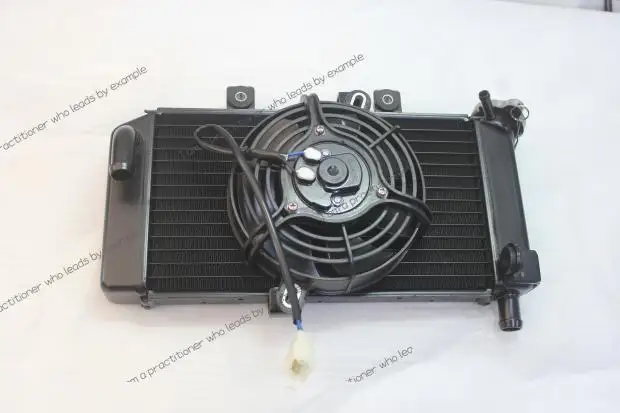 Applicable To CF Spring Breeze Motorcycle Parts 250NK 250SR Water Tank Fan Radiator Assembly