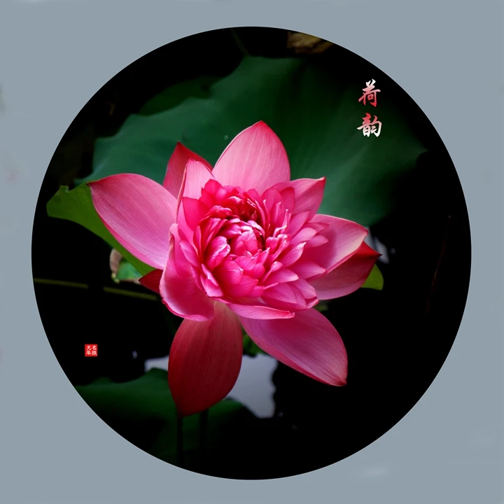 

For MJX 1/16 16208 16210 H6V3 M163 RC Car Parts Metal Upgrade Kit