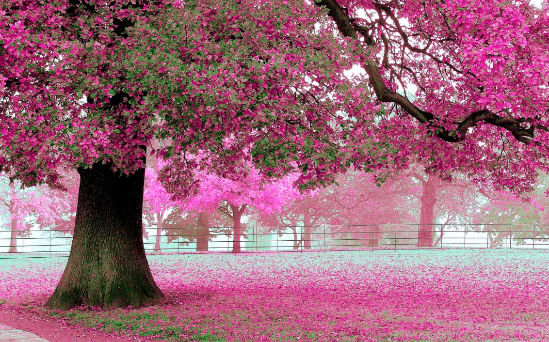 

Customized Pink Tree 3d wallpaper living room bedroom mural fantasy cherry blossom TV background mural wallpaper for walls 3 d