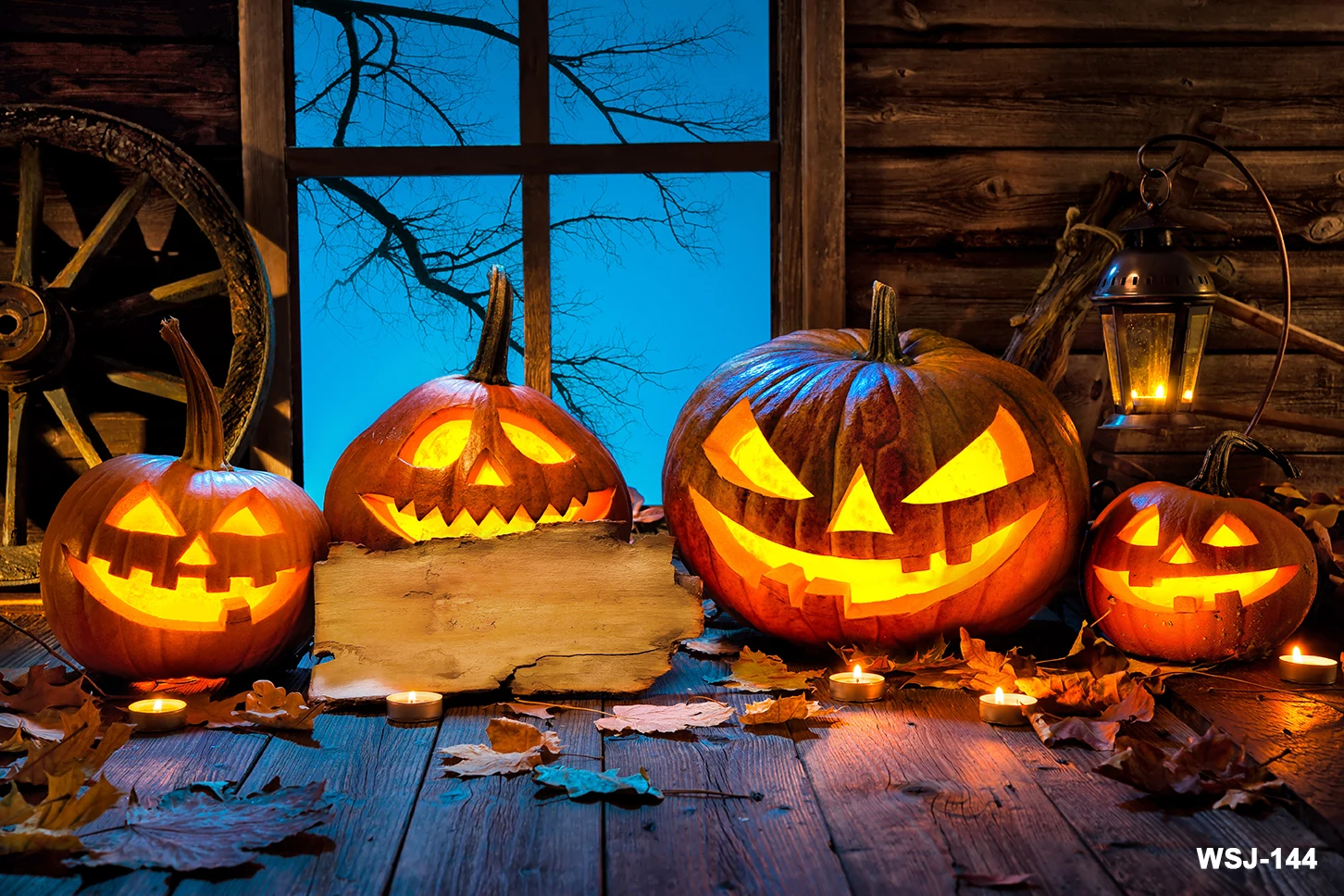 أضواء اليقطين خلفيات فوتوغرافية ، زخرفة الهالويين ، شبح ، خلفيات نافذة العناكب ، لافتة الخفافيش الليلية ، ديكور حفلة الهالويين