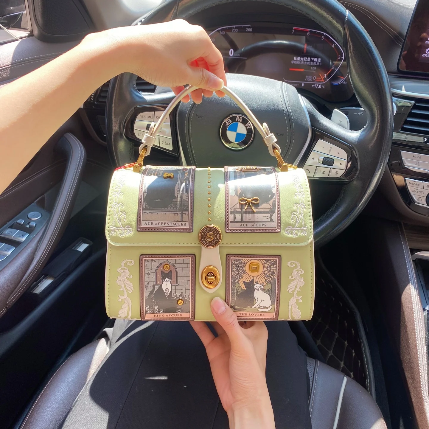 

Luxury and Special Handheld Boston Bag with Delicate Cat Printing and High Quality Metal Rivet 2026 Women Popular Crossbody Bag