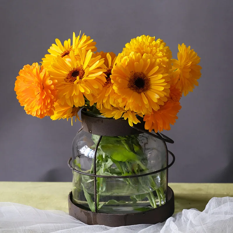 

Стеклянная ваза Гидропонный контейнер для цветов Садовый орнамент