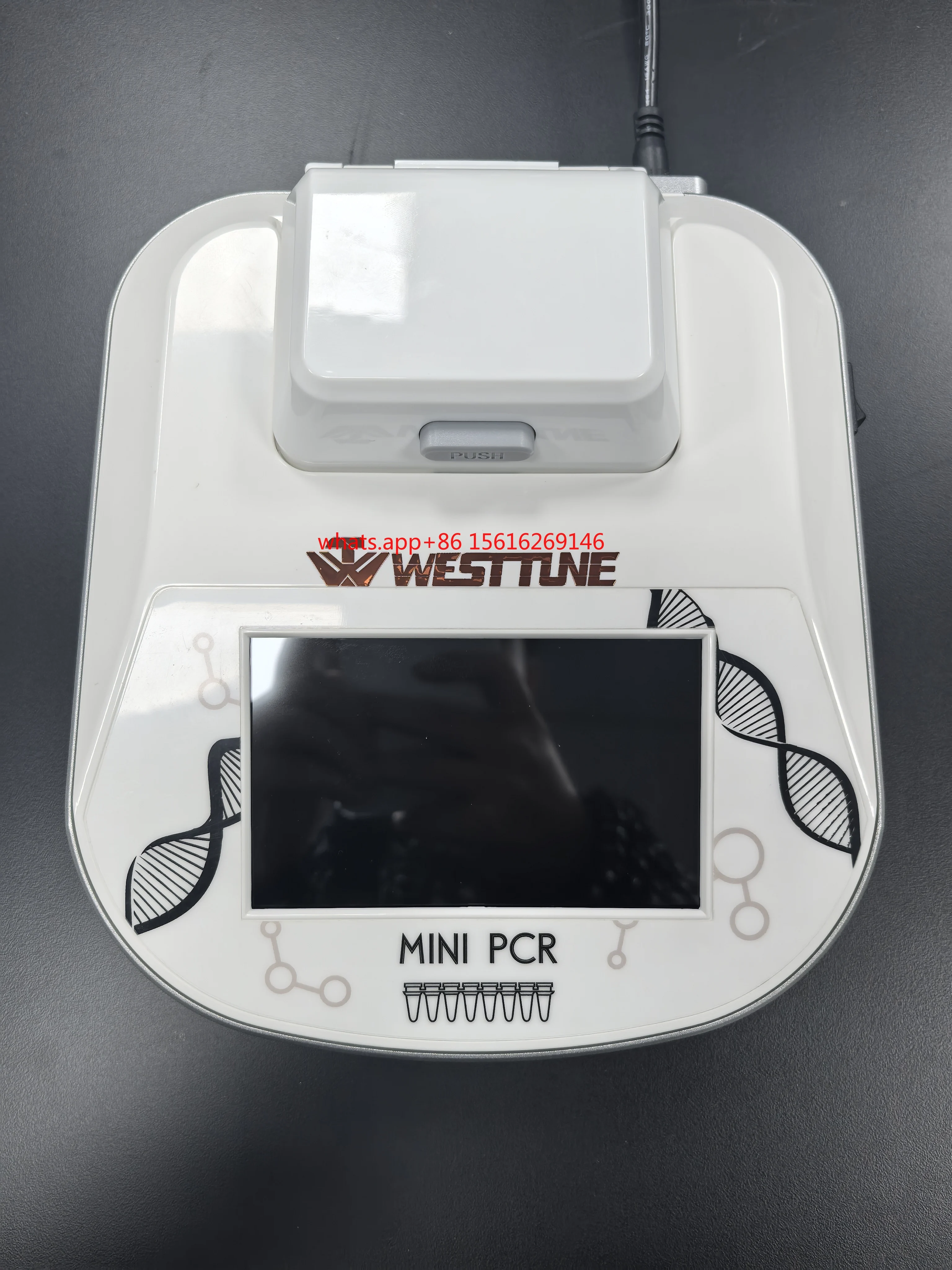 

WT-16 16Wells Mini Gradient Thermal Cycler PCR Analyzer Machine with Factory Price