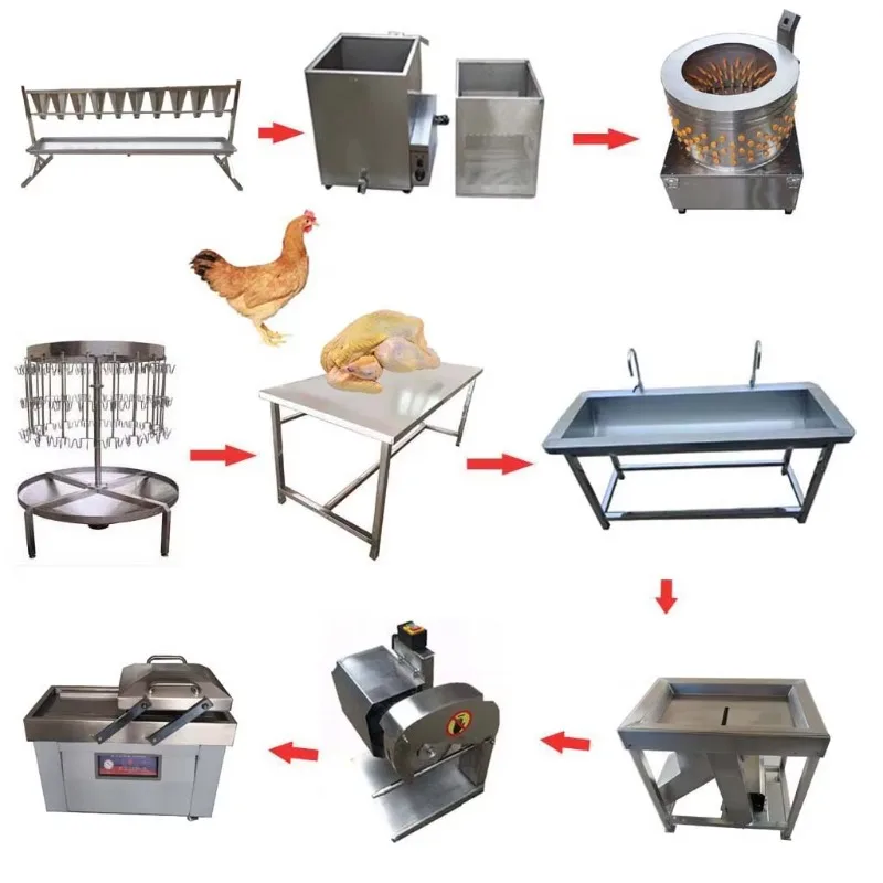 Small Scale 100-300 BPH Chicken Killing Plucking Slaughter House Customized