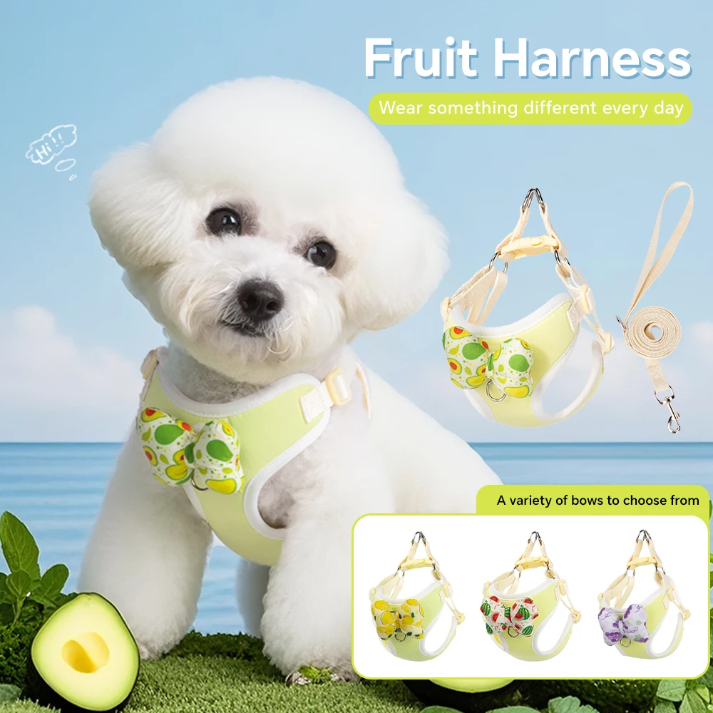 Niedliches Hundegeschirr- und Leinen-Set für kleine Hunde: Obst-Avocado-Design, atmungsaktiv, stilvoll, verstellbar, kein Ziehen, Spielzeug-Hundewanderweste, Haustiergeschirr