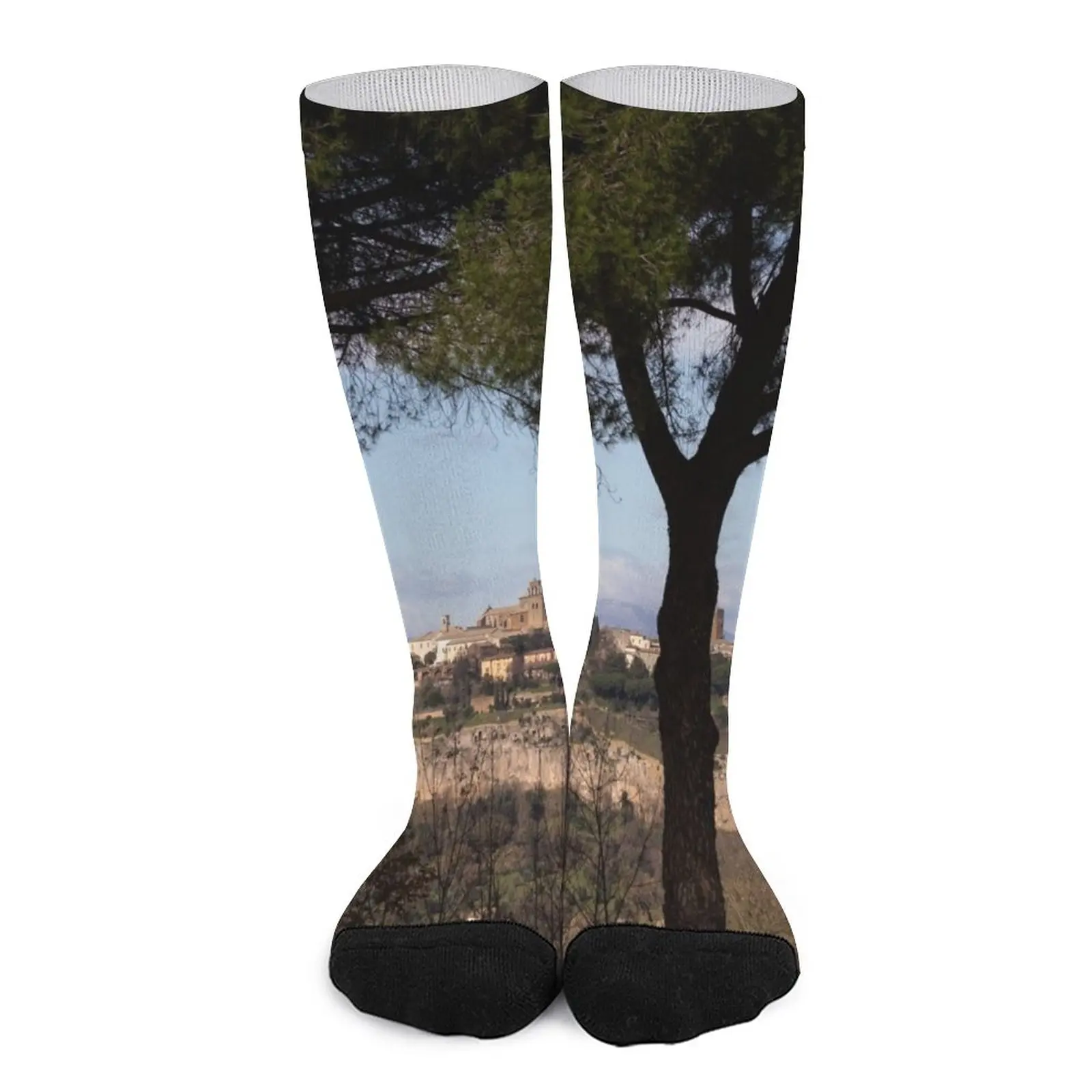 Orvieto framed by pine trees Socks Sock woman Men's winter thermal socks Socks with print socks aesthetic