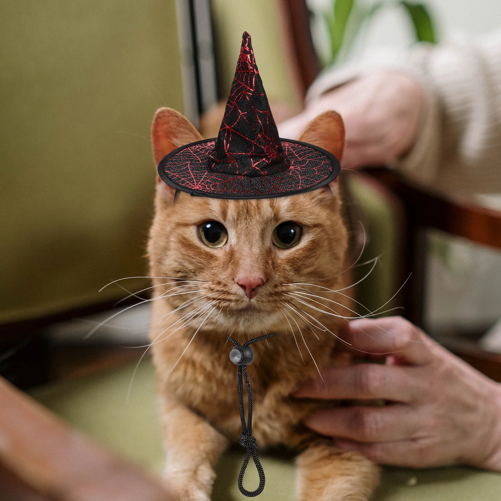 

2 Pcs Pet Party Hat Witch Decor Pets Hats Halloween Dog Cat Non-woven Fabric Costume Women's Haloween for