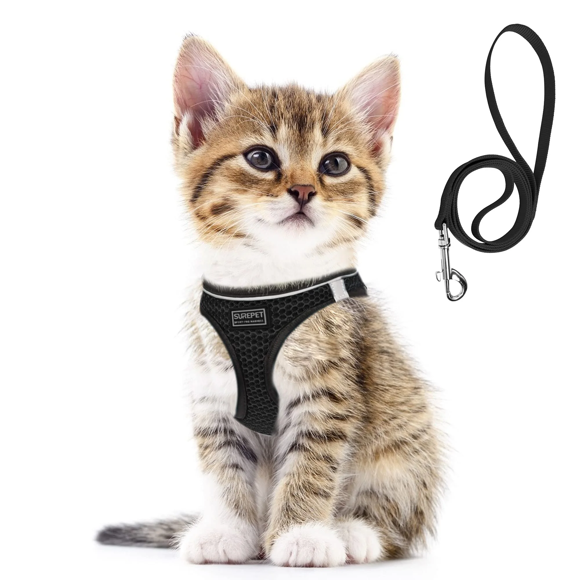 #64 Reflective Dog Leash Ranking List in 2026
