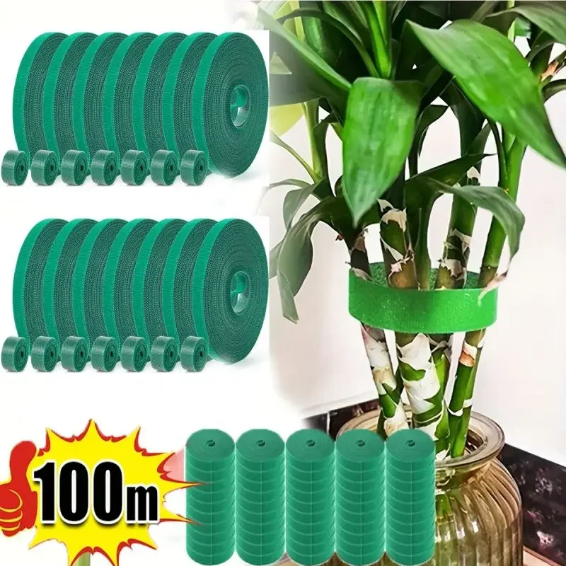 Selbstklebende Nylon-Pflanzenbinder, Gartenschnur, Pflanzenverband, Hakenschlaufe, Rankenwickel, Stützband, Gartenbefestigungsstreifen, Kabelbinder – Detail 1