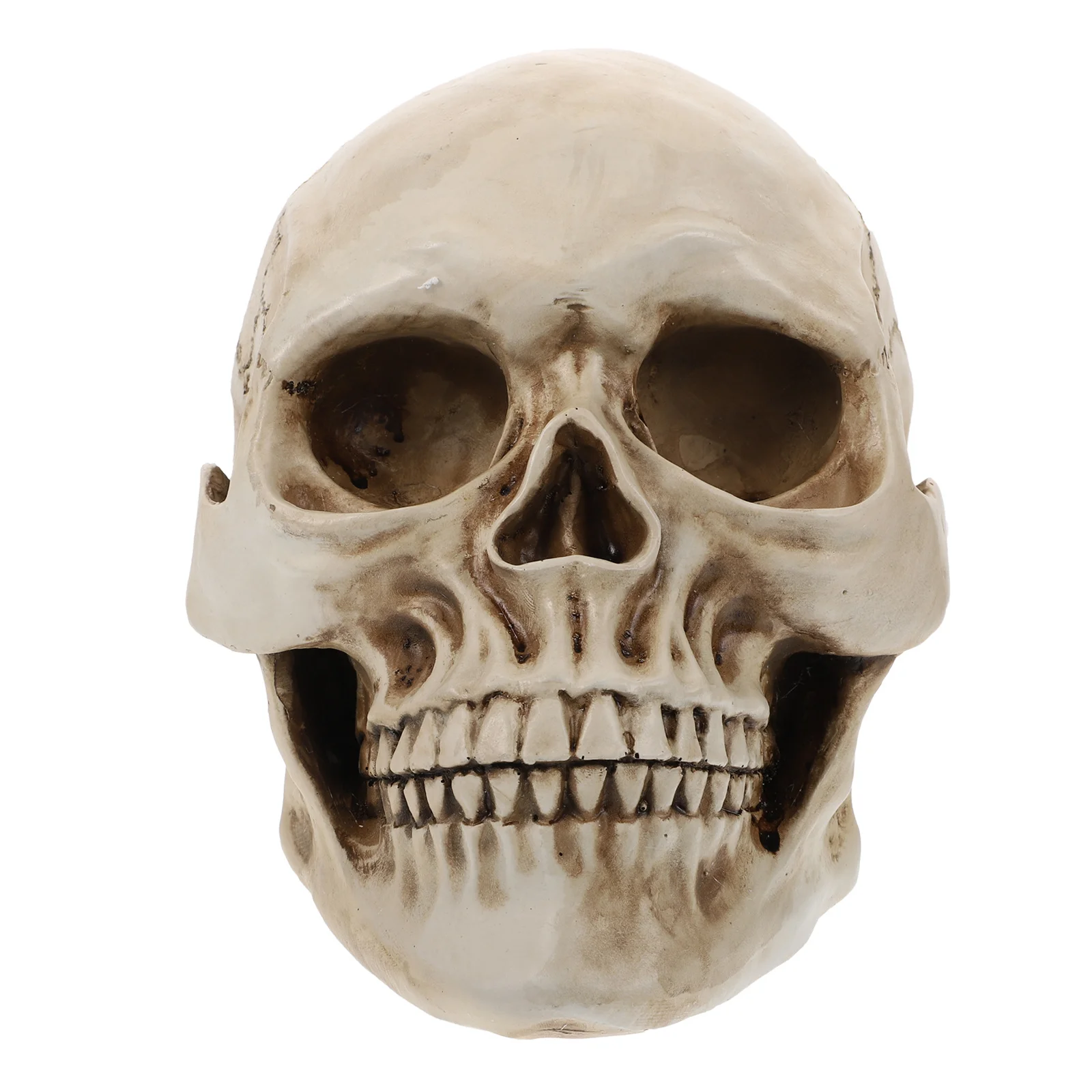 

1Pcs Resin Skull Head Decorative Ornament Halloween Home Office Tabletop Skull Decoration Scary Party Festival Prop
