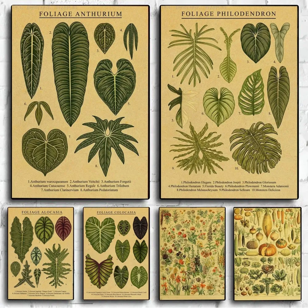 Botanical printing Flowers Herbs botanical illustrations Poster Kraft Paper Vintage Poster Wall Painting Bedroom Study Stickers