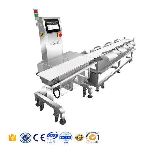 Weight Checker Customized Weight Sorting and Grading Solutions
