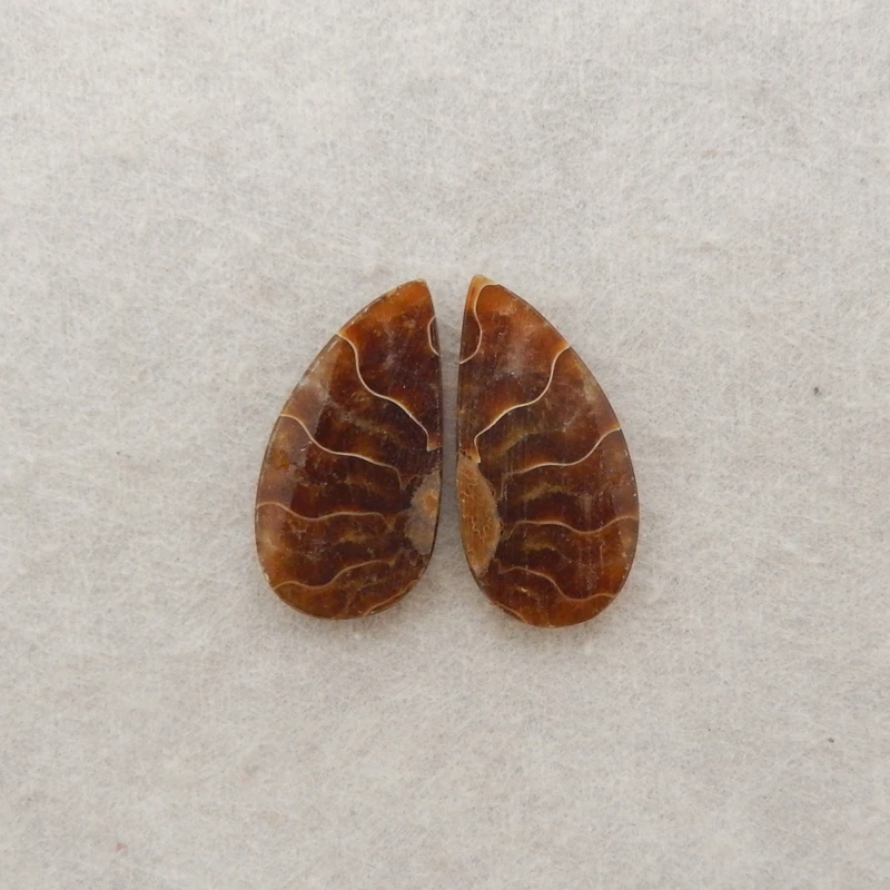 2PCS Polished Ammonite Stone Teardrop Pair Swirled Pattern Gemstone Jewelry Components for Handmade Earrings Necklaces