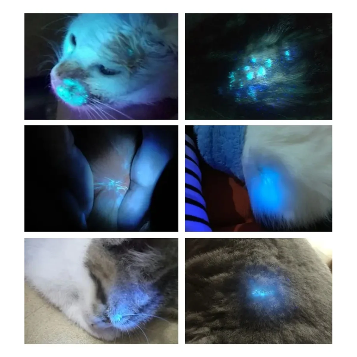 Woods Lamp Huidanalysator Draagbare gezichtssalon Schoonheidsanalysator UV Woods Lamp voor huidverzorging