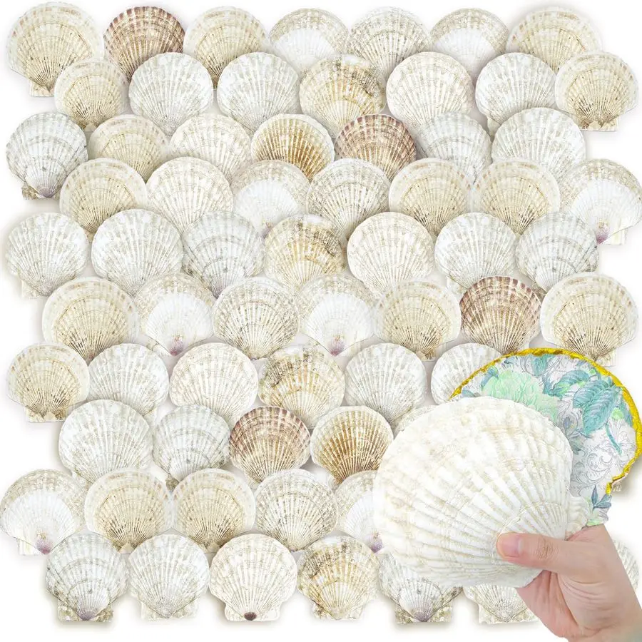 

OLA 72PCS Scallop Shells for Crafts Large Beach Natural Shells Bulk for Decoupage DIY Crafts Seashell Decorations Home Decor Whi