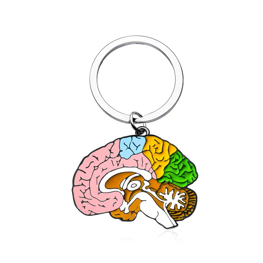 Harong Body Brain Enamel Keychain Fashion Punk Medical Anatomy Series Jewelry for Doctor Nurse Friends Internship Job Gift